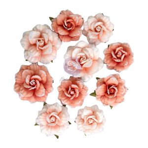 Homegrown Collection Flowers - Blush Harvest - 10 pcs