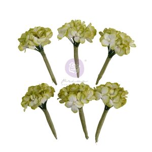 Homegrown Collection Flowers - Garden Hydrangea Mist - 5 pcs