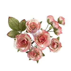 Homegrown Collection Flowers - Garden Rose Blush - 10 pcs